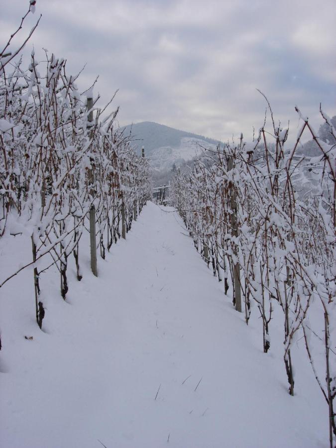 B&B San Valentino Giovo Kültér fotó